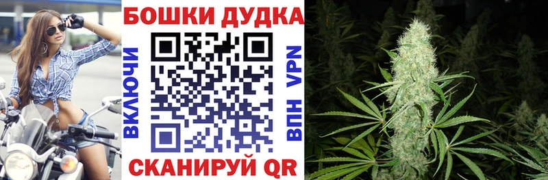 Шишки марихуана конопля  ОМГ ОМГ маркетплейс  Новопавловск 